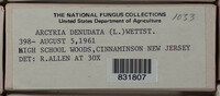 Image Associated With the Occurence